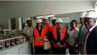 L’ambassadeur  de France au Togo  vient de visiter  l’usine Nioto, spécialisée dans la trituration des graines de coton, d’amandes de karité et la fabrication d’aliments bétail, porte d’entrée en Afrique de l’Ouest de l’entreprise française GEOCOTON.