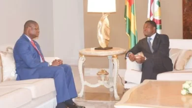 Le chef de l’Etat, Faure Essozimna Gnassingbé, a reçu en audience, le 21 février 2023, à Lomé II, le représentant-résident du PNUD Aliou Dia