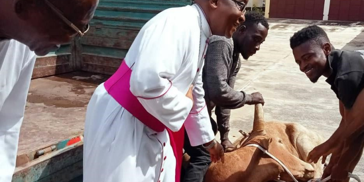 Pour preuve, mardi 27 juin 2023, l'Union musulmane du Togo a offert un bœuf à l'archevêque de Lomé, Monseigneur Nicodème Barrigah Bénissan.