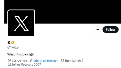 Twitter has launched its new logo, dropping the blue bird on its website for an X as part of a wider rebranding.