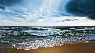 Le monde vient de connaître le mois de juin le plus chaud jamais enregistré, avec des températures à la surface de la mer sans précédent