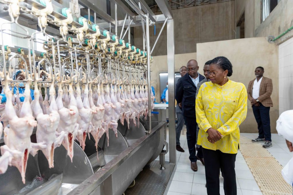 La structure d’élevage de poulets bio abattus sur place à Kpomé dans le Zio dénommée Daba SAS a reçu la visite de Victoire Tomégah-Dogbé