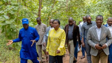 Jeudi 10 août 2023, le Premier ministre, Victoire Tomégah-Dogbé s'est rendu dans la forêt classée de Lilikopé dans la préfecture de Zio