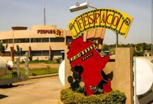 La 29ème édition du Festival panafricain du cinéma et de la télévision de Ouagadougou (FESPACO), se tiendra du 22 février au 1er mars 2025 avec la République du Tchad, comme pays invité d’honneur.