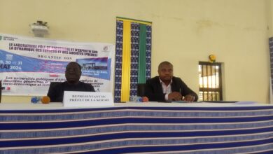 Du 29 au 31 mai 2024, se tient à l’Université de Kara (située à 420 km au nord de Lomé), le troisième colloque international du  laboratoire Pôle de Recherche et d'Expertise sur la Dynamique des Espaces et des sociétés (PREDES).  