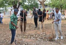 L’Université de Lomé a vibré, une fois de plus, ce 7 mars 2025, au rythme de l’initiative « Campus Propre », une opération de salubrité et de sensibilisation organisée par le Centre des œuvres universitaires de Lomé (COUL).