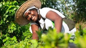 Gagalo Benjamin remporte le Grand Prix du concours Talent des médias 2025 grâce à son reportage sur le changement climatique.