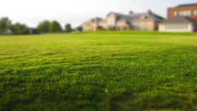 Stanley Nwabali analyse le match nul du Nigeria au sujet de la Coupe du monde 2026. Découvrez ses réflexions sur la situation actuelle.