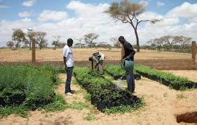 Togo : lancement d’un hackathon sur l’innovation numérique au service de l’agriculture durable à Mô