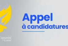 L’Université de Lomé lance un appel à candidatures pour une formation sur le commerce international. Postulez dès maintenant.