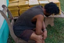 La Gendarmerie nationale saisit plus d’une tonne de cannabis à Kloto 1 lors d'une opération réussie du 17 au 18 novembre 2025.