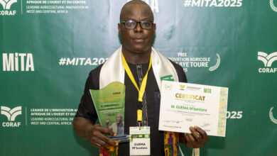 La filière courge au Togo évolue grâce à Guema Concept. Découvrez comment ces solutions mécaniques améliorent la productivité.