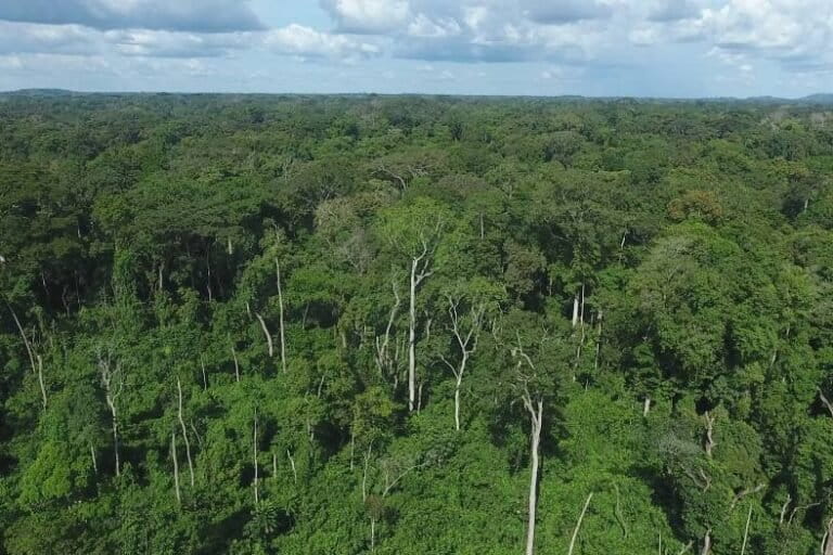 Le ministre de l’Environnement annonce les dates limites pour les feux précoces au Togo. Renseignez-vous pour agir en conformité.