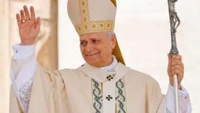 Le pape Léon XIV exige la libération immédiate des plus de 300 élèves enlevés au Nigeria lors d'une attaque dans une école catholique.