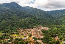 La SAFD propulse l'autonomisation féminine avec un projet innovant à Agou. Un leadership inclusif pour un avenir meilleur.