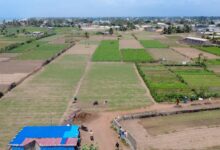 La réhabilitation de la route Lomé–Aného offre une libération pour les maraîchères. Moins de temps de trajet, plus de ventes.