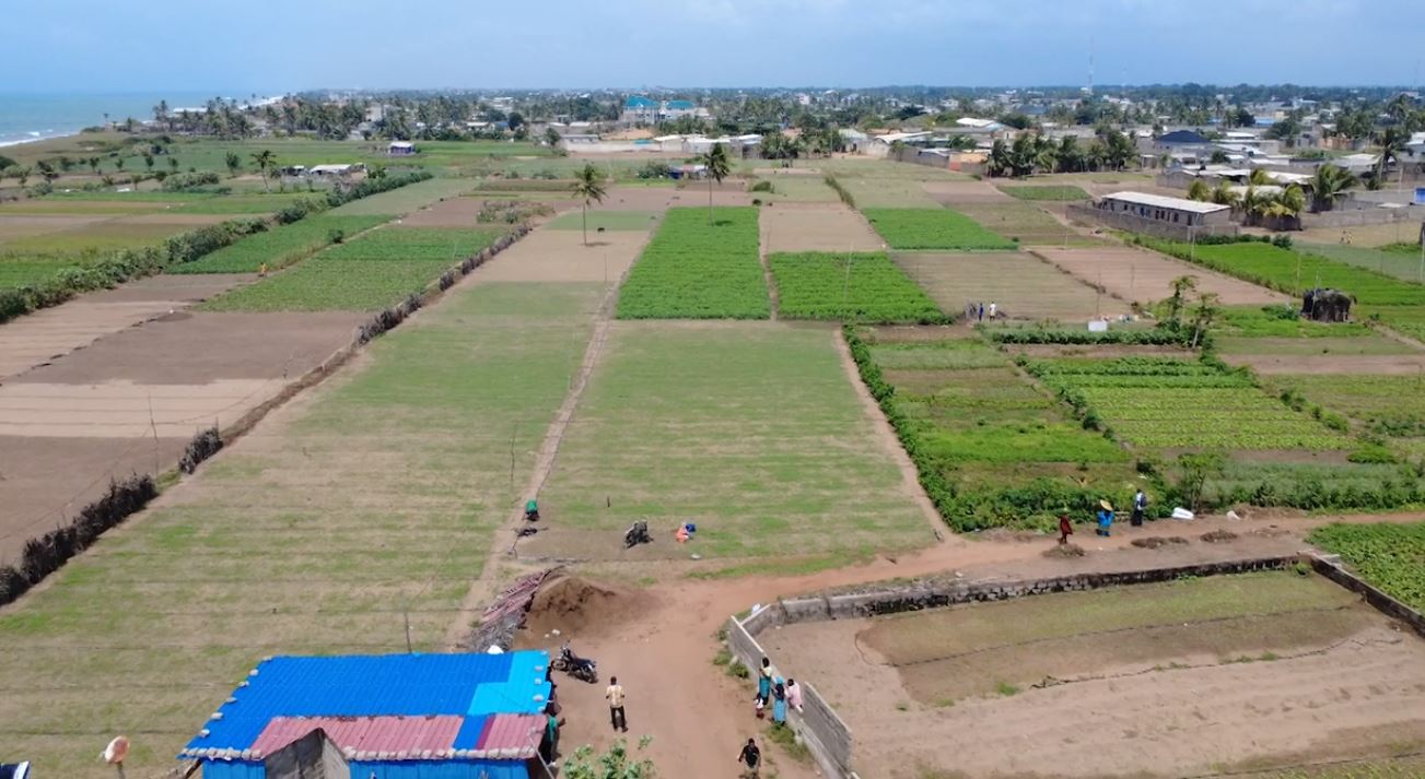 La réhabilitation de la route Lomé–Aného offre une libération pour les maraîchères. Moins de temps de trajet, plus de ventes.