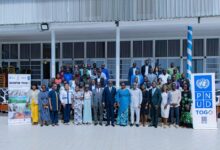 Le Togo lance son Plan de financement pour la biodiversité avec l’appui du FEM et du PNUD pour un développement durable.