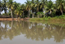 L'Autorité du Bassin du Mono présente un bilan positif pour 2025, marquant des progrès notables dans ses activités et financements.