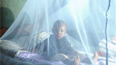 Le Togo lance sa sixième campagne de distribution de moustiquaires imprégnées pour lutter contre le paludisme. Ne manquez pas cet événement.