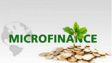 Togo : 2e en Afrique sur l’égalité économique femmes-hommes, une performance saluée