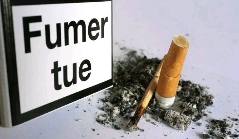 Le 27 mars 2026, une feuille de route a été validée à Tsévié pour combattre le commerce illicite du tabac au Togo.