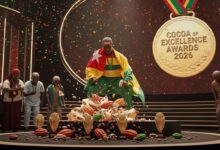 Le Togo : double médaille d’or au Cocoa of Excellence Awards 2026 pour le cacao de qualité. Apprenez-en plus sur cet événement.