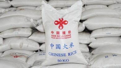  Le Togo a officiellement réceptionné, ce jeudi à Lomé, un important don de 2 525 tonnes de riz blanc offert par la Chine, dans le cadre d’un programme d’assistance alimentaire d’urgence. D’une valeur estimée à 20 millions de yuans (environ 1,74 milliard de francs CFA), cette aide vise à soutenir la sécurité alimentaire dans le pays.