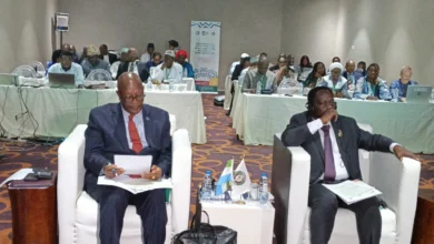 Les ministres de la Santé de la CEDEAO se réunissent à Freetown pour discuter de l'élimination du paludisme dans la région.