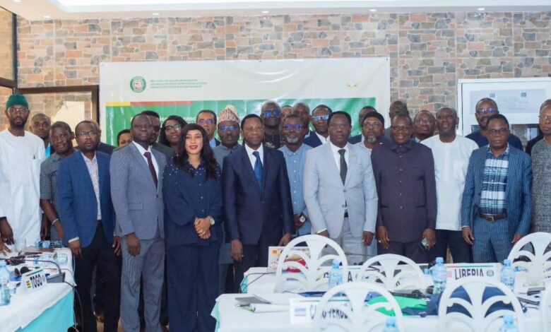 Une nouvelle étape est franchie dans la lutte contre le paludisme en Afrique de l’Ouest. Le 31 mars 2026, à Conakry, le directeur général de l’Organisation Ouest Africaine de la Santé, Melchior Athanase Joël Codjovi Aïssi, a lancé un atelier régional consacré à l’élaboration d’un cadre stratégique d’élimination du paludisme dans l’espace CEDEAO.