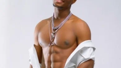 Les déclarations de Santrinos Raphaël au concert de l'indépendance à Kara continuent d'alimenter les débats sur les réseaux sociaux.