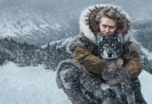 Explorez les 33 films en compétition au FIFTO 2026, un festival dédié à l'authenticité du cinéma africain.