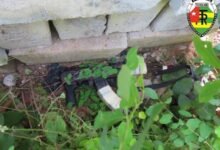 Un braqueur abattu lors d'une attaque armée à Djagblé. Découvrez les détails de cet incident survenu le 11 mai 2026.