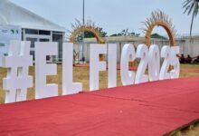 ELFIC 2025 : un événement marquant pour évaluer les progrès dans la lutte contre la Fièvre de Lassa en Afrique de l’Ouest.