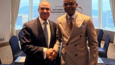 Corée-Afrique : Robert Dussey et son homologue égyptien discutent de la coopération entre Lomé et Le Caire lors d'une réunion.