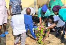 Le ministère de la Santé au Togo joue un rôle clé lors de la Journée nationale de l’arbre et du reboisement.