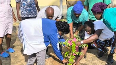 Le ministère de la Santé au Togo joue un rôle clé lors de la Journée nationale de l’arbre et du reboisement.