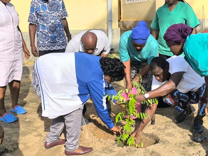 Le ministère de la Santé au Togo joue un rôle clé lors de la Journée nationale de l’arbre et du reboisement.