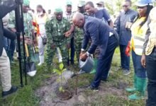 Le 1er juin 2026, Togo a commencé sa campagne nationale de reboisement à Aképé pour restaurer le couvert forestier national.