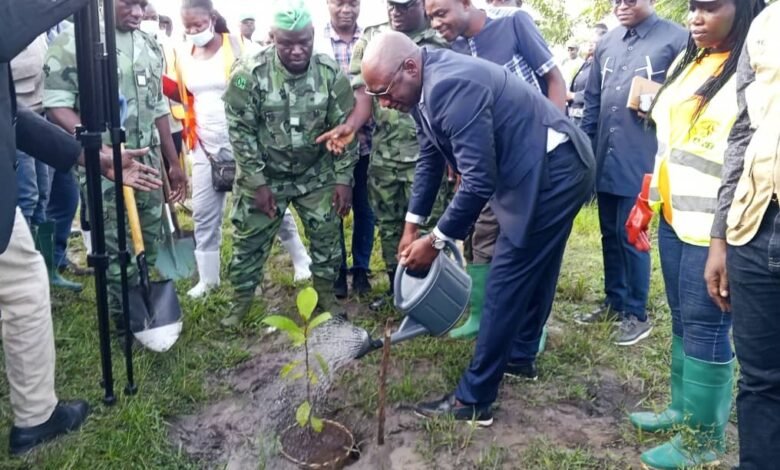 Le 1er juin 2026, Togo a commencé sa campagne nationale de reboisement à Aképé pour restaurer le couvert forestier national.