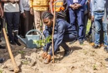 L’Université de Kara célèbre la Journée nationale de l’arbre pour renforcer sa mobilisation écologique et son engagement durable.