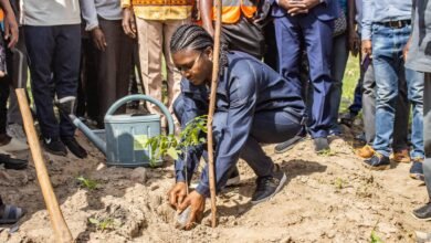 L’Université de Kara célèbre la Journée nationale de l’arbre pour renforcer sa mobilisation écologique et son engagement durable.
