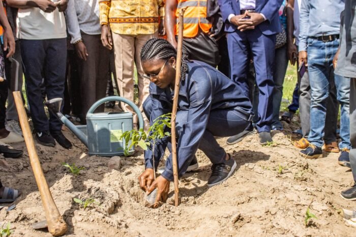 L’Université de Kara célèbre la Journée nationale de l’arbre pour renforcer sa mobilisation écologique et son engagement durable.