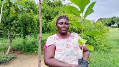 Découvrez les efforts de reboisement 2026 avec plus de 7 000 plants mis en terre dans les Plateaux pour lutter contre la déforestation.