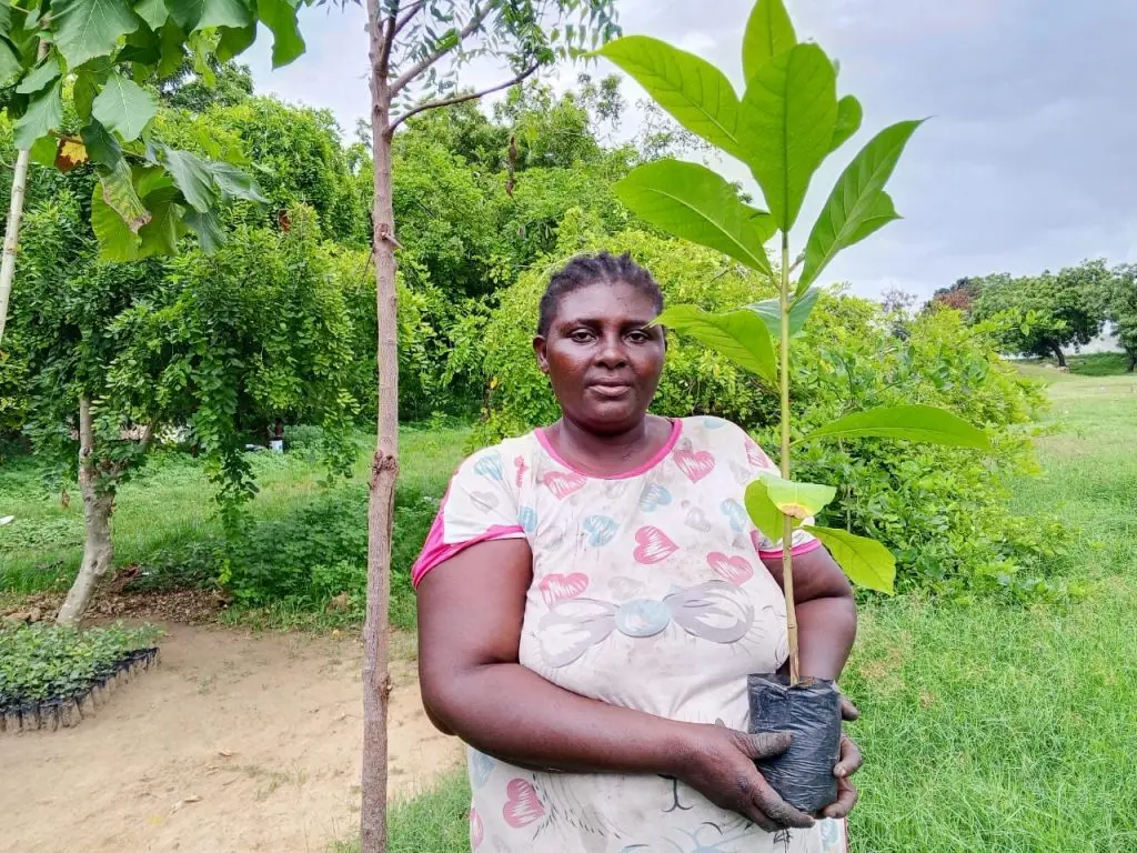 Découvrez les efforts de reboisement 2026 avec plus de 7 000 plants mis en terre dans les Plateaux pour lutter contre la déforestation.