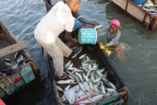 Découvrez la 8e réunion du COPACE à Lomé sur la pêche artisanale et la gestion durable des ressources halieutiques.