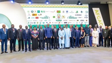 Le transport aérien africain est en pleine transformation. Faure Gnassingbé dévoile les orientations pour l'intégration continentale.