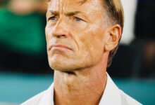Hervé Renard signe son grand retour à la tête des Éléphants de Côte d'Ivoire après onze ans depuis la CAN 2015.