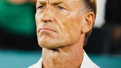 Hervé Renard signe son grand retour à la tête des Éléphants de Côte d'Ivoire après onze ans depuis la CAN 2015.