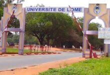 Découvrez l'ESTBA : appel à candidatures pour la Licence professionnelle en Analyses Médicales et Biologiques.